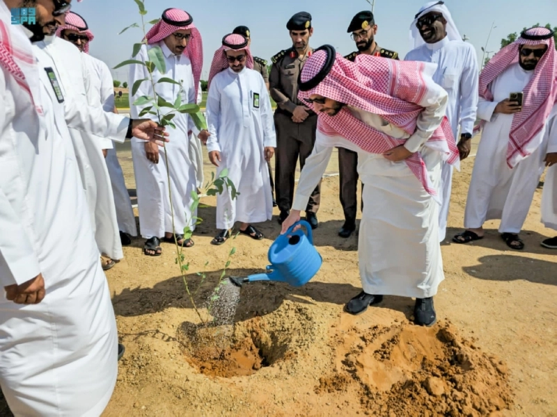 بدء خطة التشجير (مكة)
