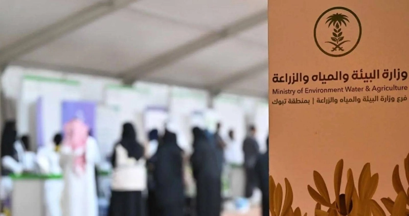 من المهرجان