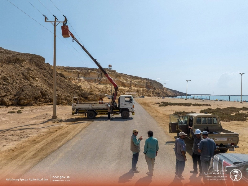 تركيب العوازل في محمية جزر فرسان