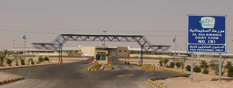 إحدى مزارع نادك (مكة)