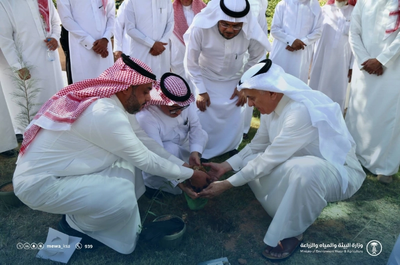 من البرنامج الوطني للتشجير (مكة)
