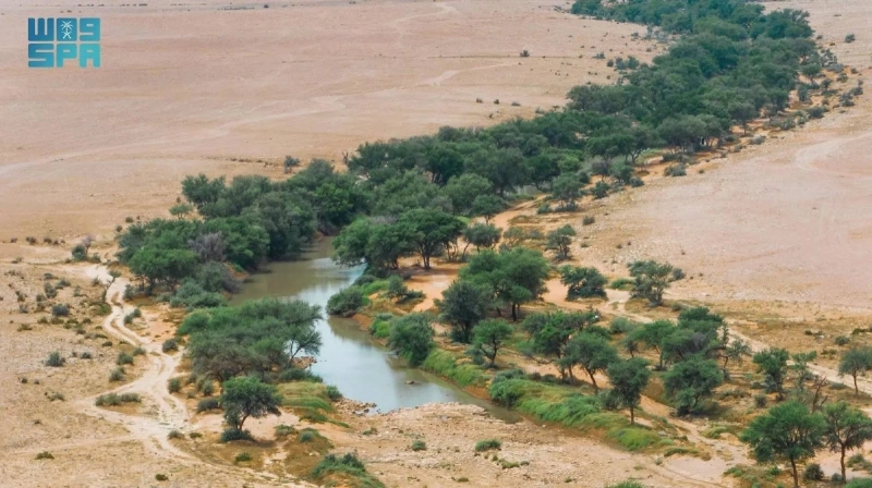 محمية الملك عبد العزيز
