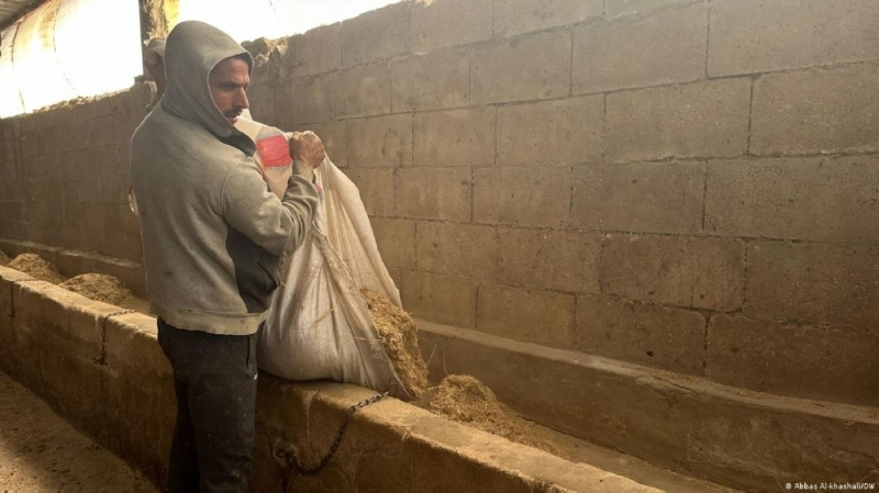 مزارع أصر على البقاء في جنوب لبنان (مكة)