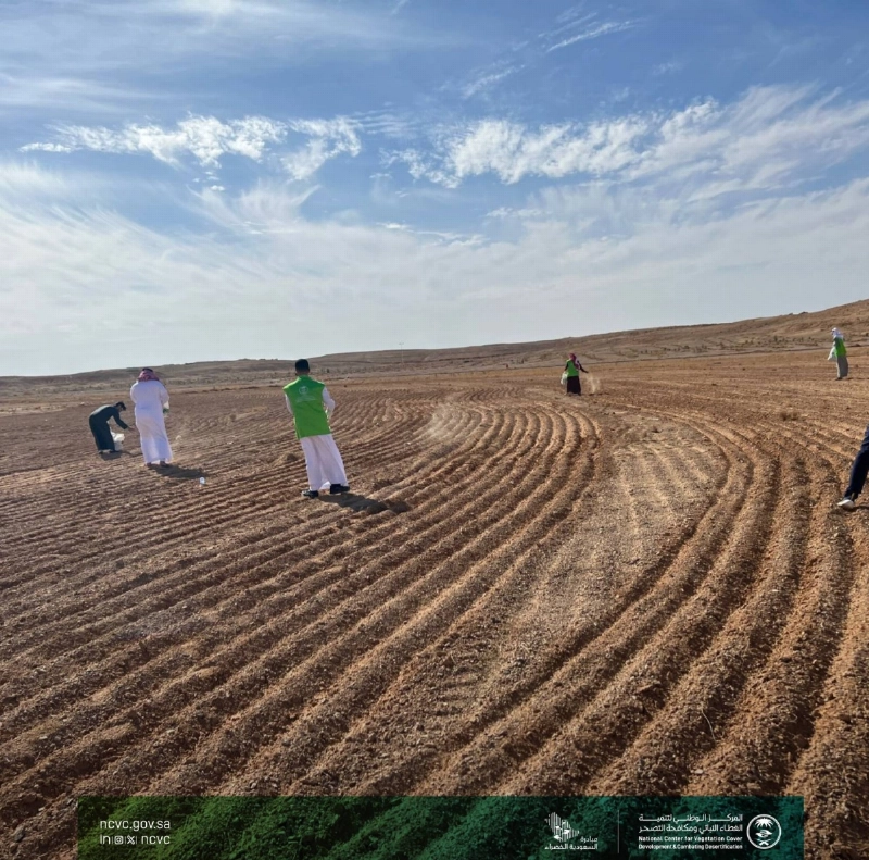 السعودية تواجه التصحر بحملات التشجير
