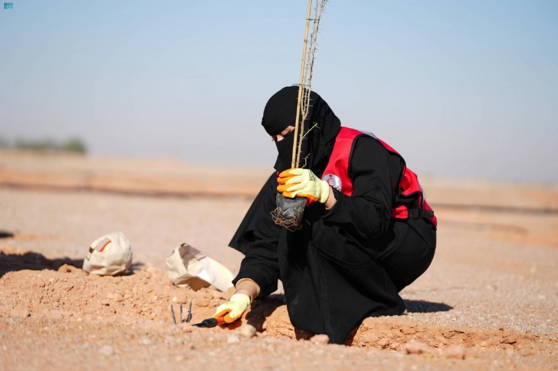 متطوعة تغرس شتلة