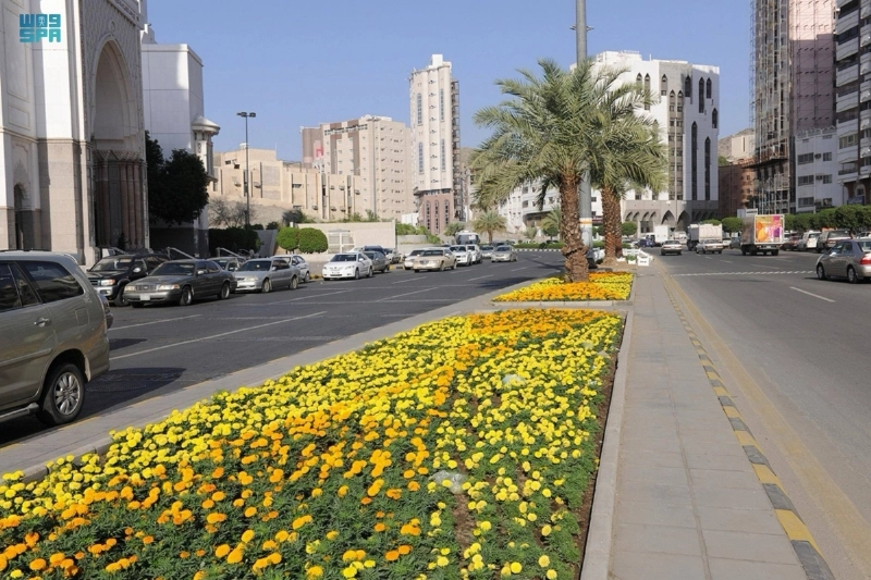 من الزراعة التجميلية بالشوارع (مكة)
