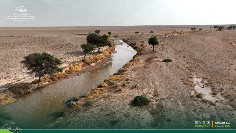 محمية الامام عبد العزيز