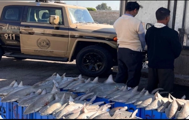 المقيمان بعد القبض عليهما
