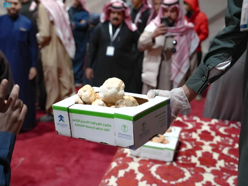 عرض عينات من الكمأة خلال المهرجان (مكة)