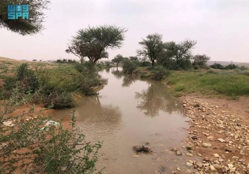 من تأهيل الأراضي المتدهورة (مكة)