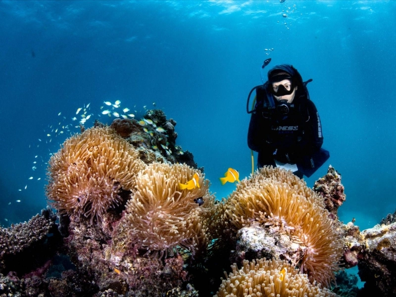  Peixoto conducting experiments in the Red Sea.
بيكسوتو تجري بعض التجارب في البحر الأحمر