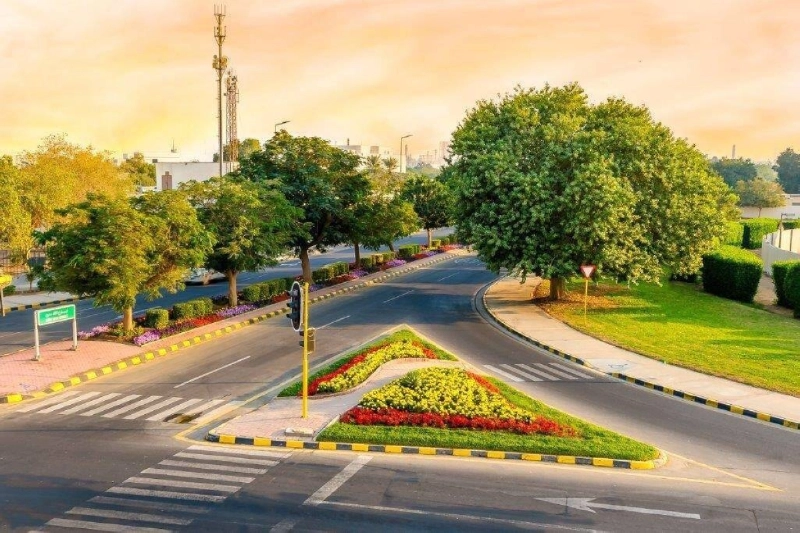 ارتفاع نسبة التشجير أهم أهداف المبادرة (مكة)