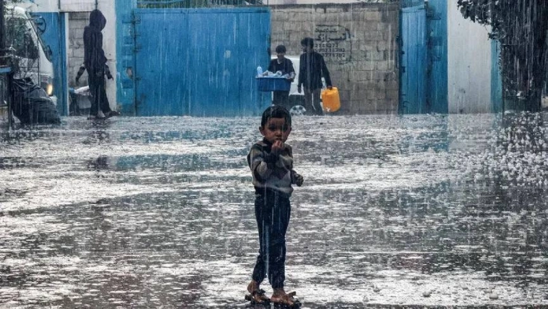 أطفال يواجهون المطر ويبحثون عن الطعام (مكة)
