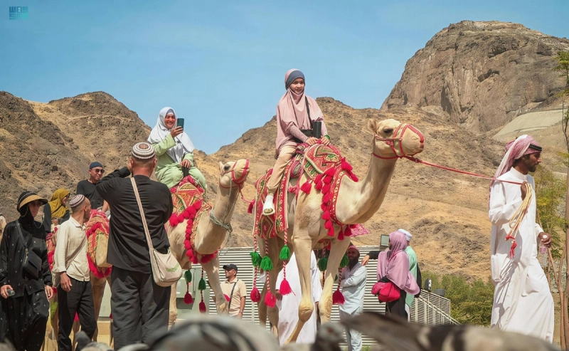 توثيق تجربة ركوب الإبل