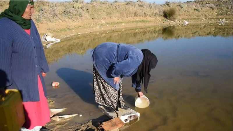 تونسية تملأ وعاء من مياه البحر (مكة)