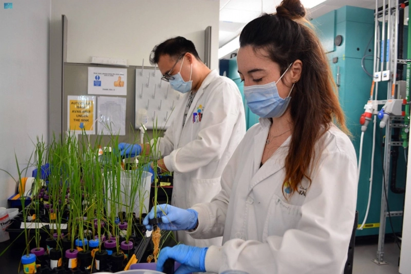 من الإنتاج البحثي بالجامعة (مكة)