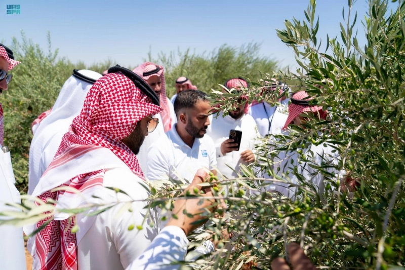 توثيق الإنتاج العضوي (مكة)