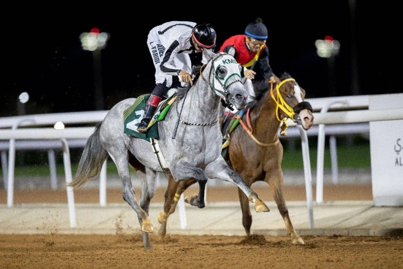 الجواد نديم الملوك الخالدية الفائز بكأس الملك فيصل العام الماضي - نادي سباقات الخيل، علي العبدالله