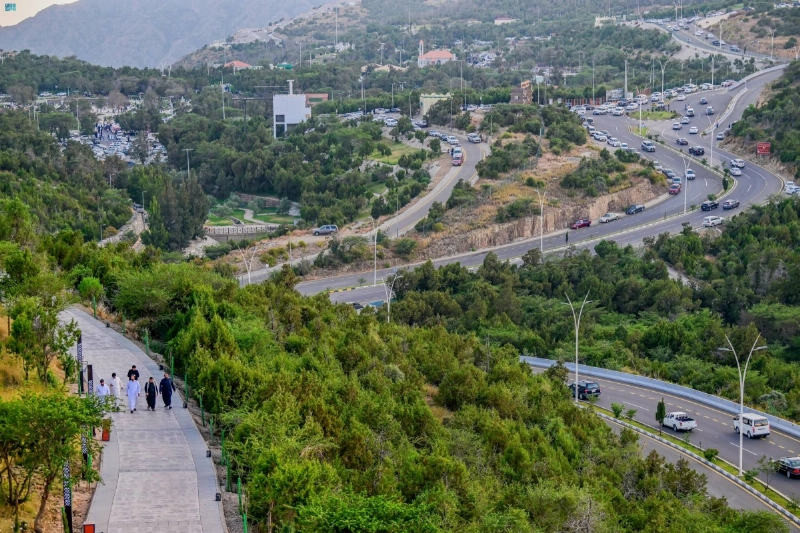 حديقة تعالي للضباب