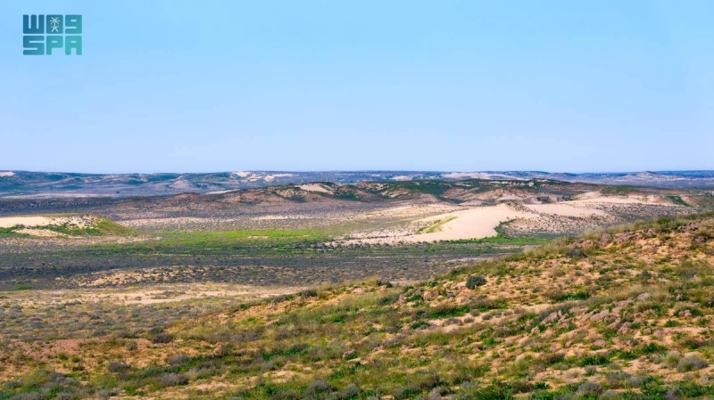 محمية الملك عبدالعزيز