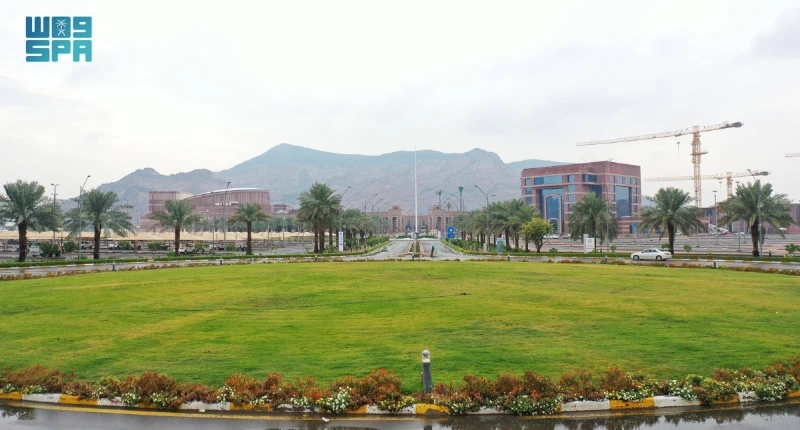 جامعة طيبة