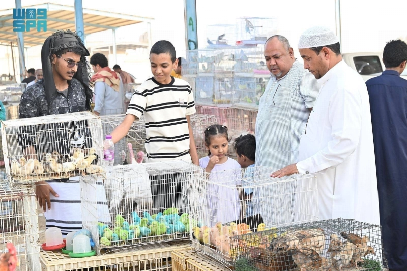 مجموعات متنوعة من الطيور الملونة