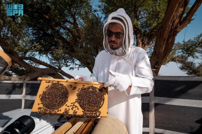 نحال