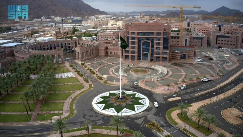 جامعة طيبة