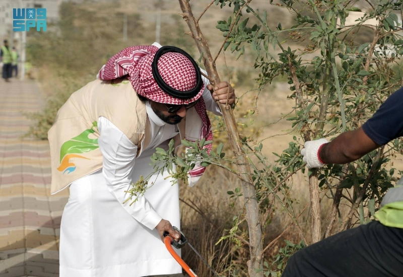 إزالة النبتة من المتنزهات