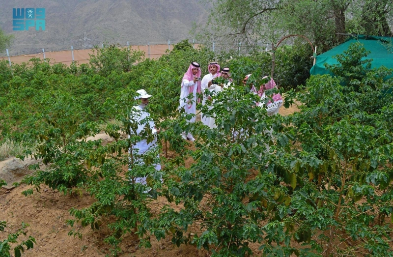 زيارة لإحدى المزارع