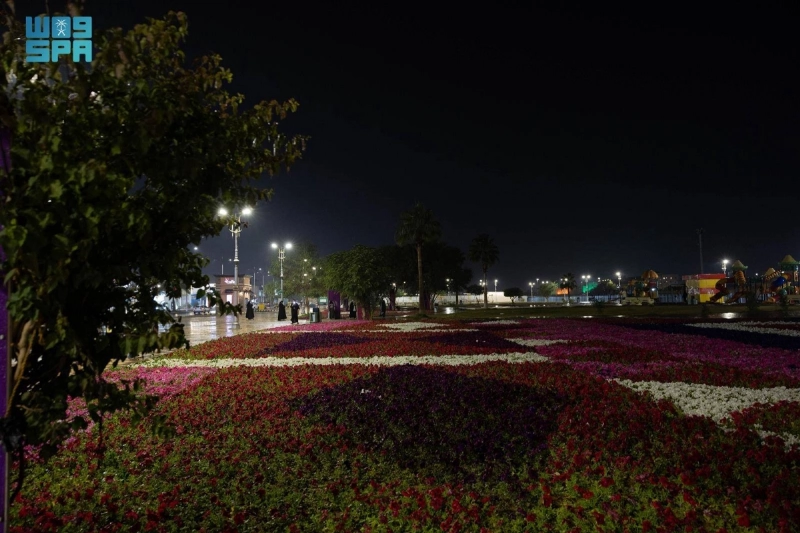 أمطار عرعر