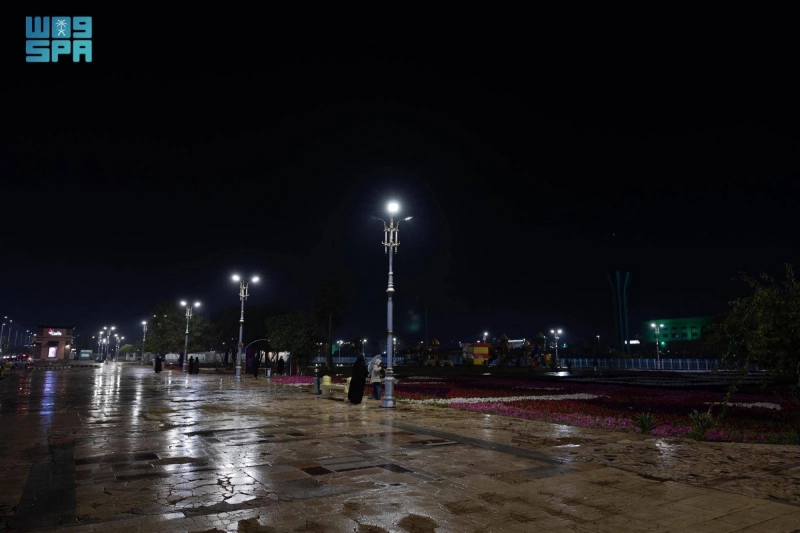 أمطار عرعر