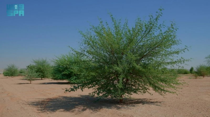 F9835836