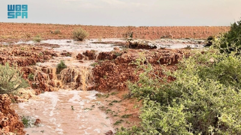 F9863972