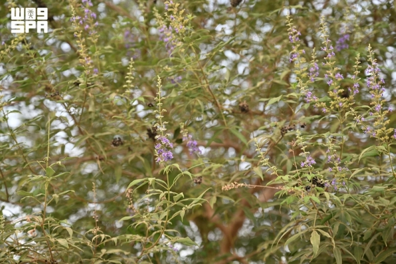F10174005