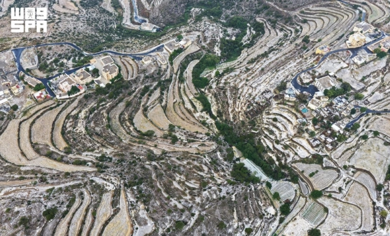 F10253746