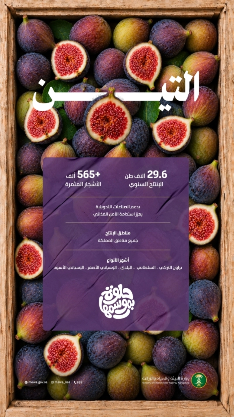 info_التين