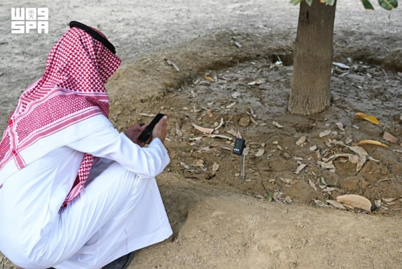 تصوير علي الشهري