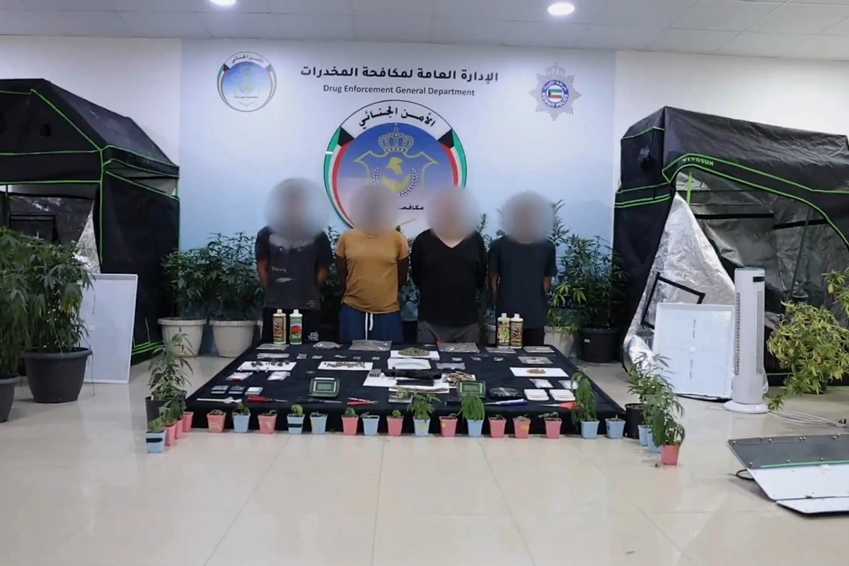 الكويت: مداهمة مزرعة ماريغوانا متكاملة داخل منزل — image 4
