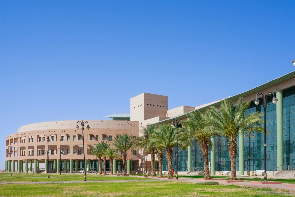 هدفت الدراسة إلى معالجة التحديات المرتبطة بدقة نمذجة الخلايا الشمسية