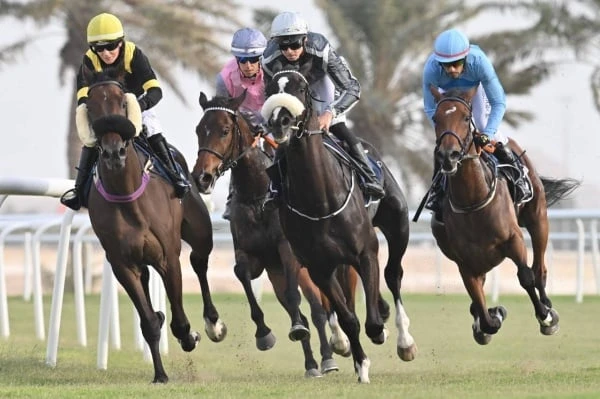 في السباق الرابع للخيل.. 60 جواداً تتنافس على كؤوس " هاوس مي " والمرحوم شرف العلوي
