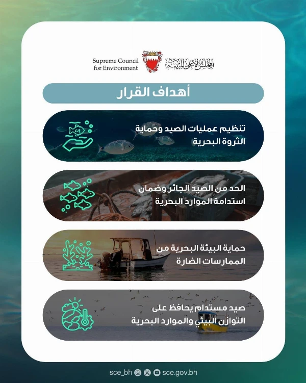 المجلس الأعلى للبيئة: بدء تنفيذ القرار رقم (6) لسنة 2025 بشأن ضوابط الصيد باستخدام الشباك والقراقير والحظور وخيوط الصيد (الخِيّة)