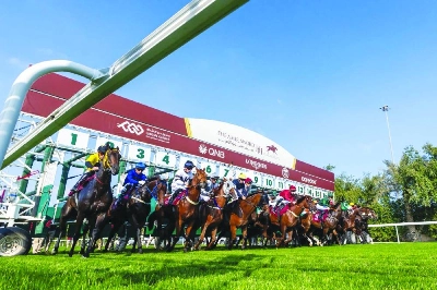 The HH The Amir Sword Festival features a total of 32 races across the four-day programme. The HH The Amir Sword Festival features a total of 32 races across the four-day programme.