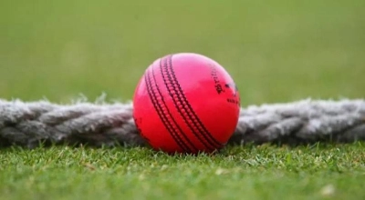 A pink cricket ball. A pink cricket ball.