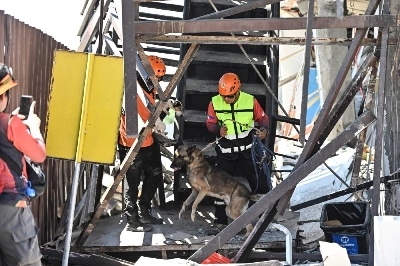 Rescue workers use search-and-rescue dogs to look for trapped people at a collapsed grocery store a day after the magnitude 7.8 quake in Calumpang, General Santos, southern Philippines, June 9, 2026. REUTERS/Noel Celis Rescue workers use search-and-rescue dogs to look for trapped people at a collapsed grocery store a day after the magnitude 7.8 quake in Calumpang, General Santos, southern Philippines, June 9, 2026. REUTERS/Noel Celis