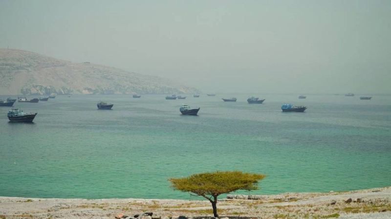 Vessels are anchored in the Strait of Hormuz. (Reuters)
Vessels are anchored in the Strait of Hormuz. (Reuters)