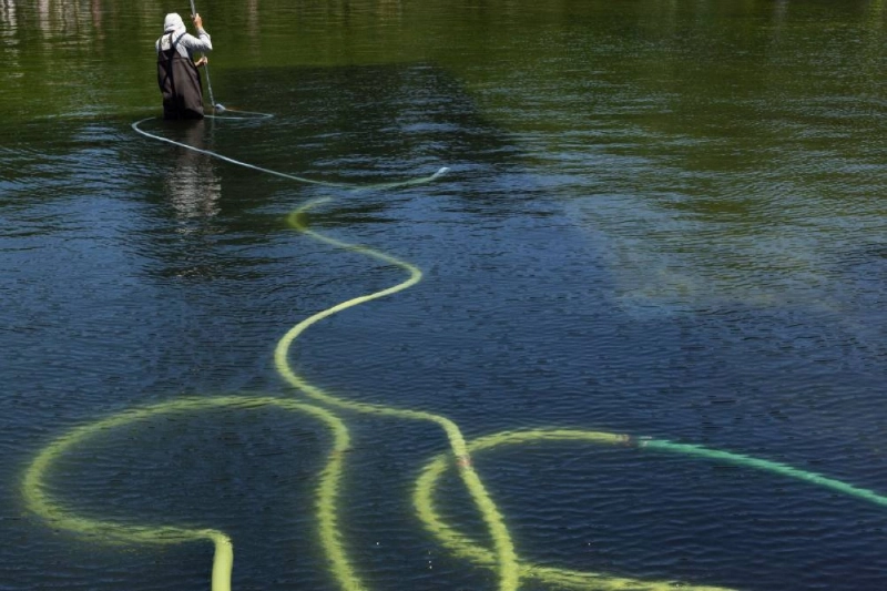 WASHINGTON, DC - JUNE 20: A National Park Service worker uses a vacuum to remove algae from the bottom of the Lincoln Memorial Reflecting Pool on June 20, 2026 in Washington, DC. The NPS continues to work to control and remove the algae bloom that has turned the pool green following the Trump Administration's recent $14 million repair, resealing and painting project. Anna Rose Layden/Getty Images/AFP (Photo by Anna Rose Layden / GETTY IMAGES NORTH AMERICA / Getty Images via AFP) WASHINGTON, DC - JUNE 20: A National Park Service worker uses a vacuum to remove algae from the bottom of the Lincoln Memorial Reflecting Pool on June 20, 2026 in Washington, DC. The NPS continues to work to control and remove the algae bloom that has turned the pool green following the Trump Administration's recent $14 million repair, resealing and painting project. Anna Rose Layden/Getty Images/AFP (Photo by Anna Rose Layden / GETTY IMAGES NORTH AMERICA / Getty Images via AFP)