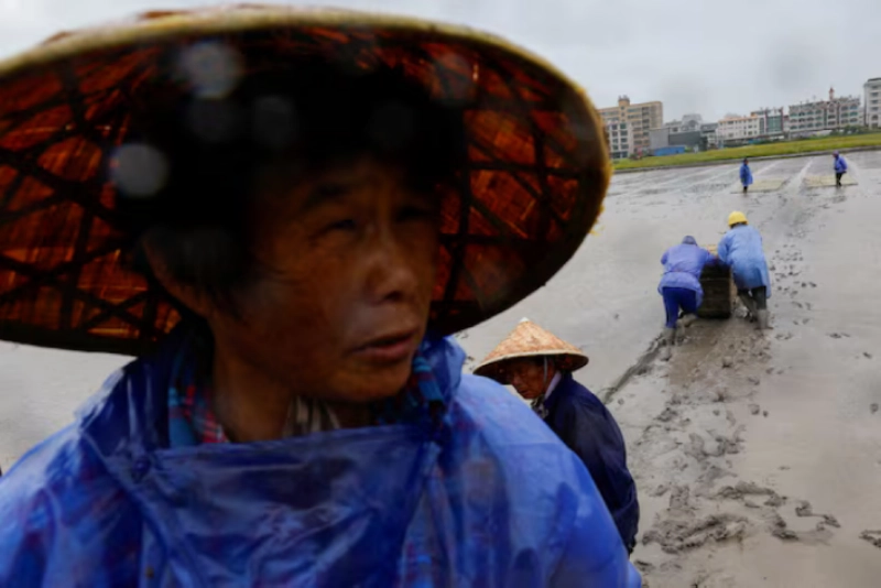 China evacuates over one million as Typhoon Bavi nears : Reuters China evacuates over one million as Typhoon Bavi nears : Reuters