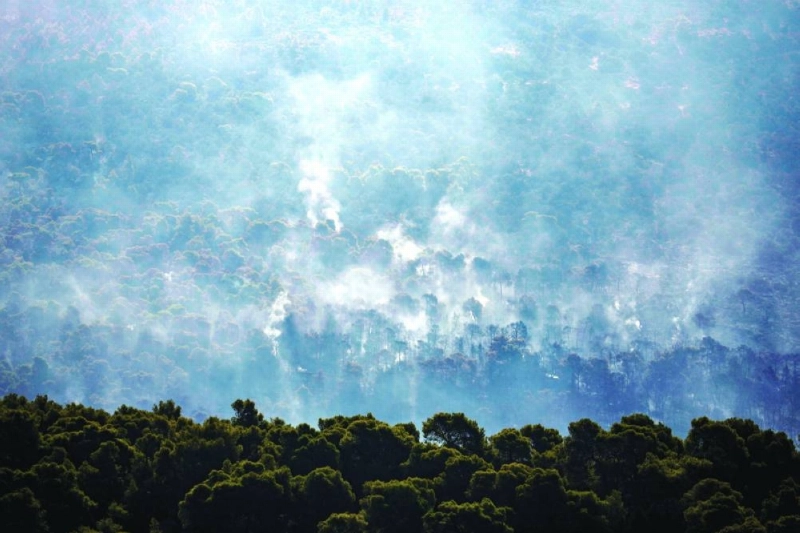 A view of a charred forest above the village of Psatha, Greece, Tuesday. (Reuters) A view of a charred forest above the village of Psatha, Greece, Tuesday. (Reuters)