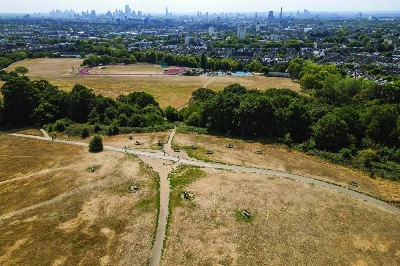 An aerial view shows the dirt paths and scorched grass of Parliament Hill on Hampstead Heath looking towards the central London skyline, Tuesday, following weeks of hot, dry weather. (AFP) An aerial view shows the dirt paths and scorched grass of Parliament Hill on Hampstead Heath looking towards the central London skyline, Tuesday, following weeks of hot, dry weather. (AFP)